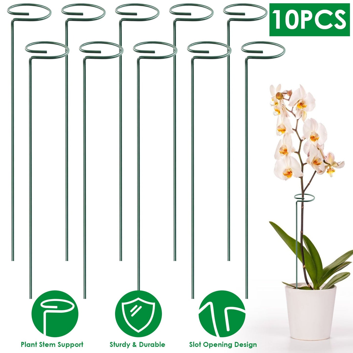 10-Pack: Plant Support Stake