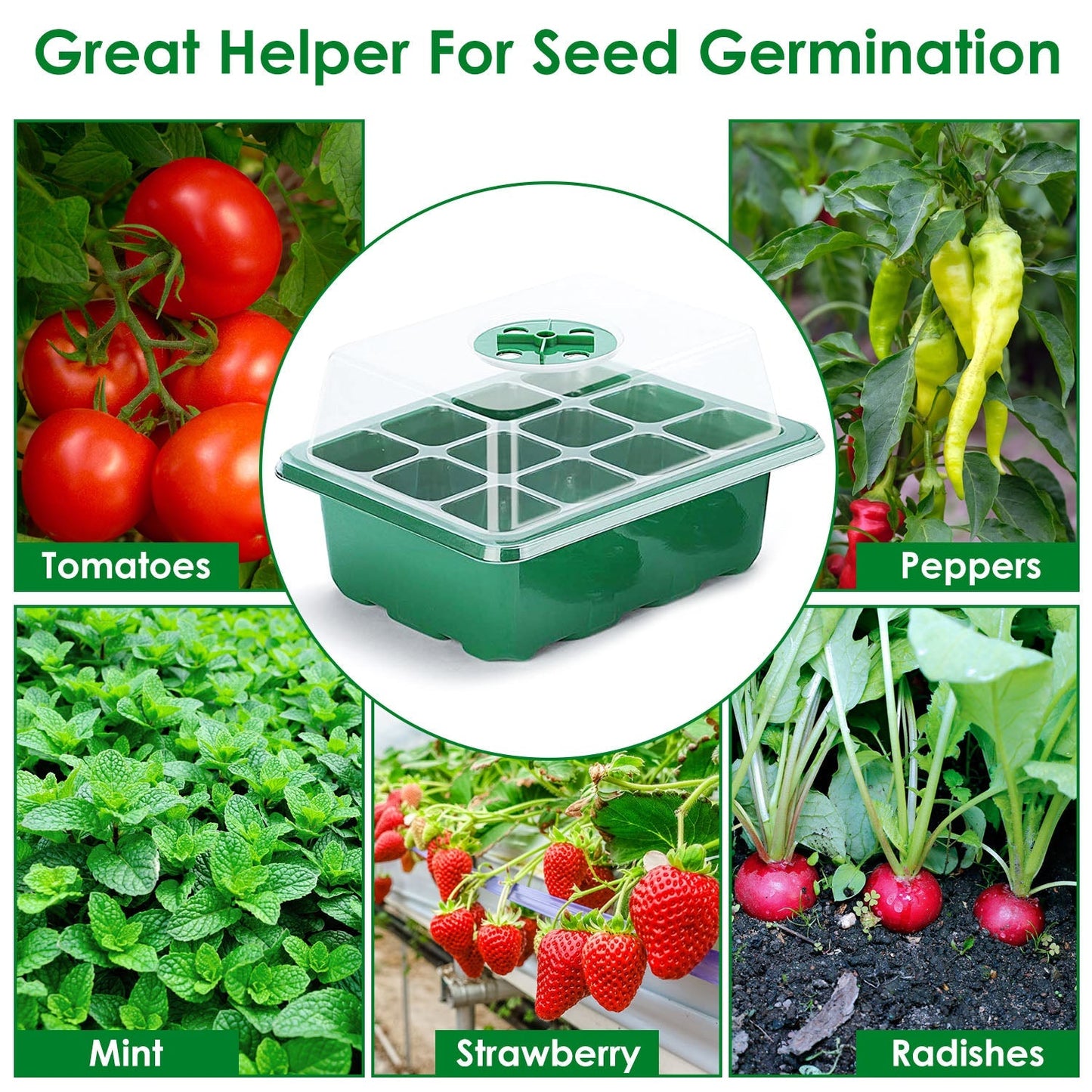 10-Piece: Reusable Seed Starter Tray Kit