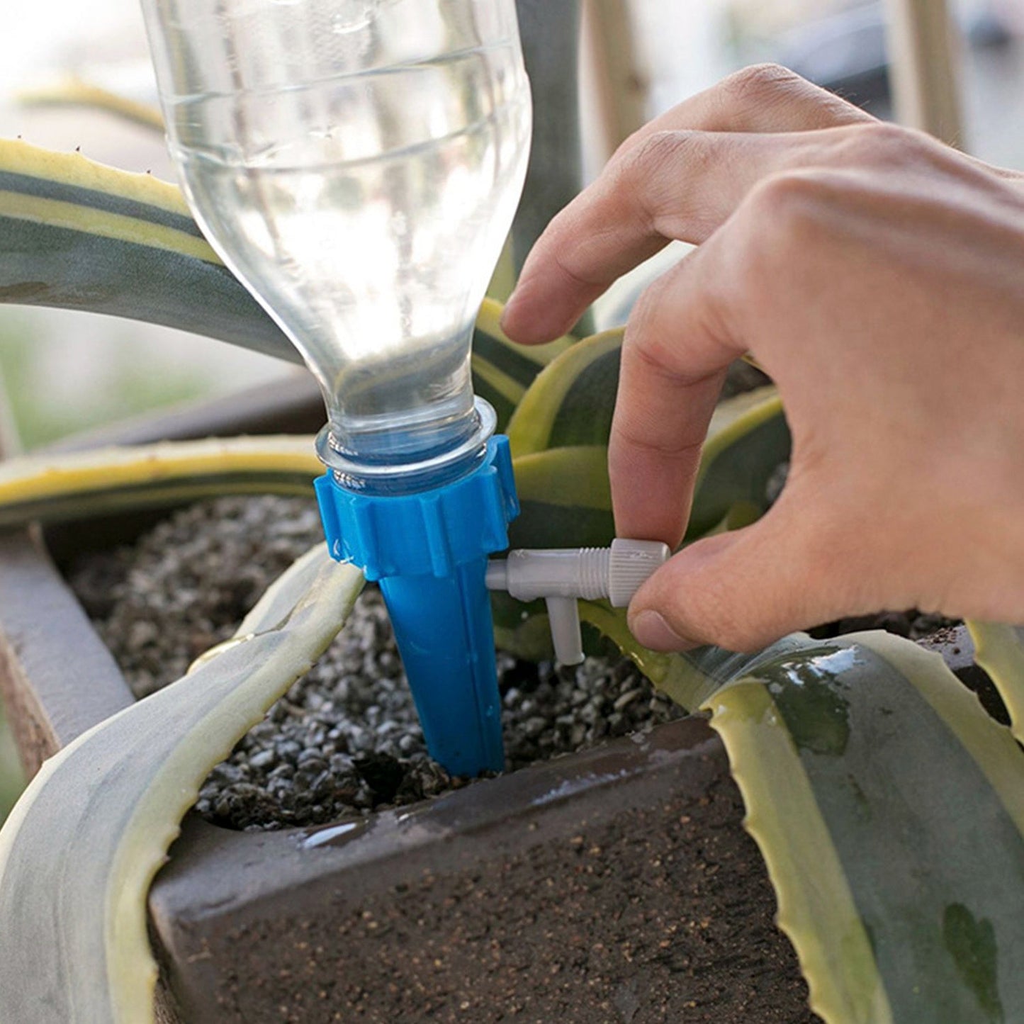 24-Piece: Plant Watering Spikes Self Watering Device