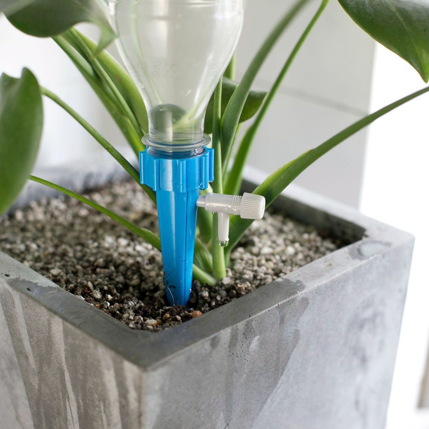 24-Piece: Plant Watering Spikes Self Watering Device