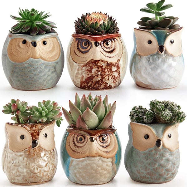 6-Pack: 2.5 Inch Owl Pot Ceramic Base