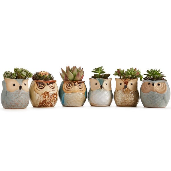6-Pack: 2.5 Inch Owl Pot Ceramic Base