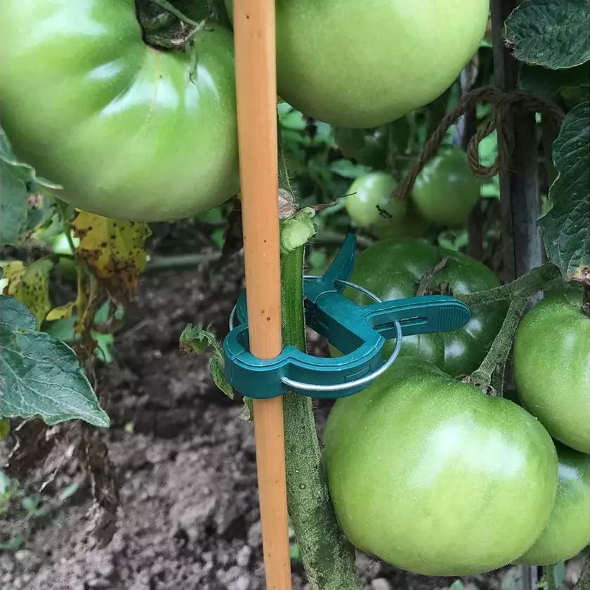 Plant Support Clips for Garden Vine to Grow Upright