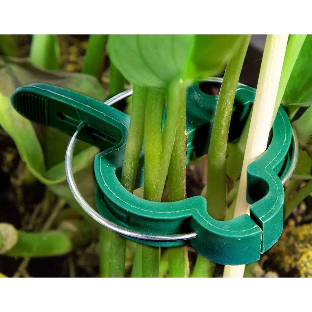 Plant Support Clips for Garden Vine to Grow Upright