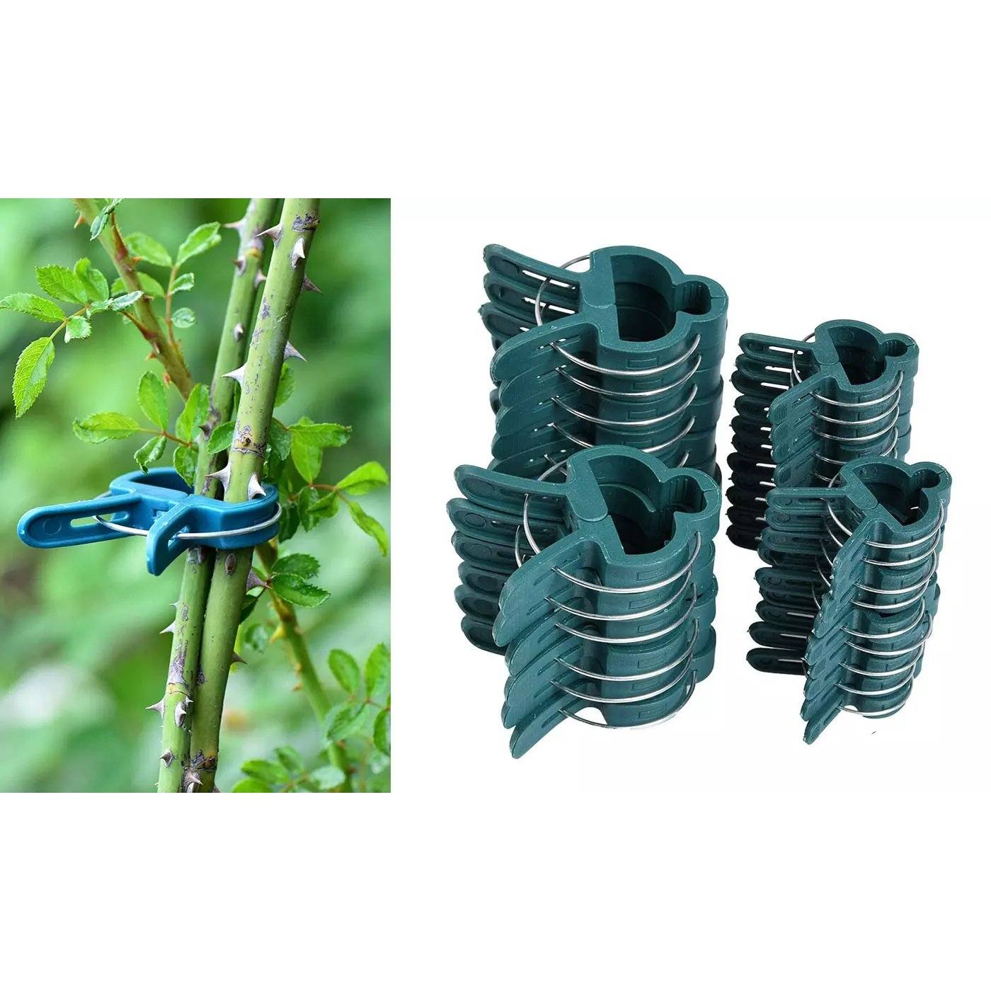 Plant Support Clips for Garden Vine to Grow Upright