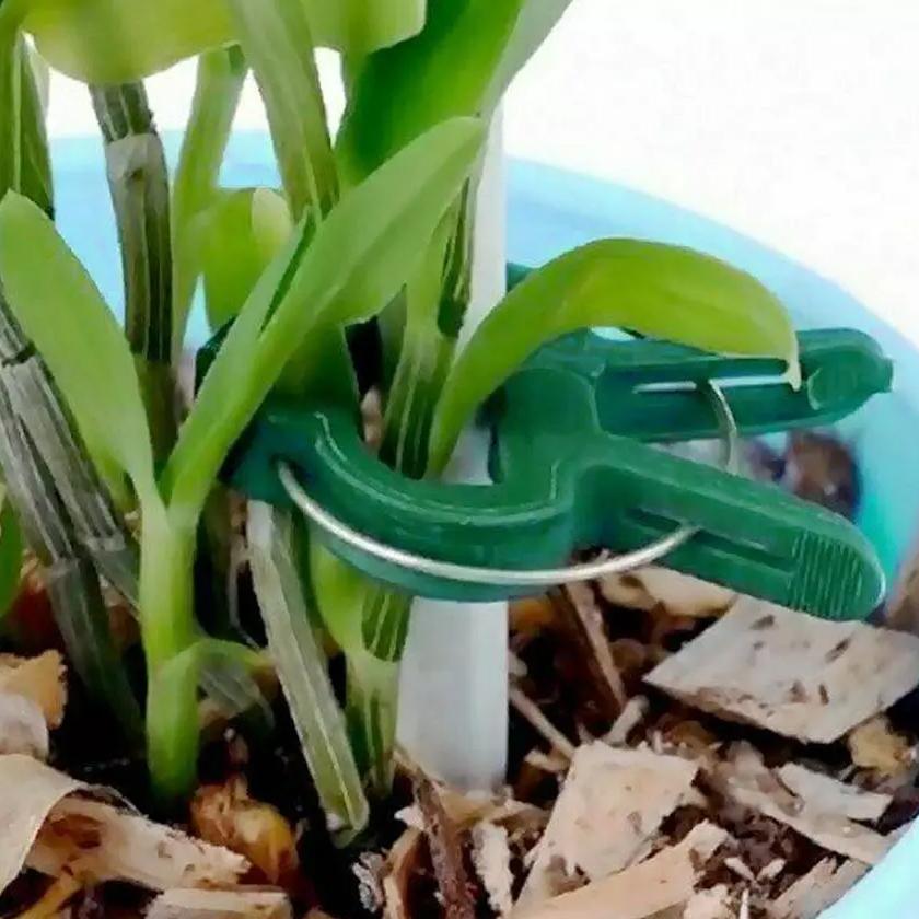Plant Support Clips for Garden Vine to Grow Upright